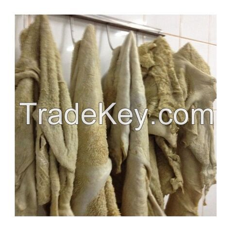 Salted Omasum and Beef Salted Omasum for sale, frozen omasum Premium Grade . Ready export