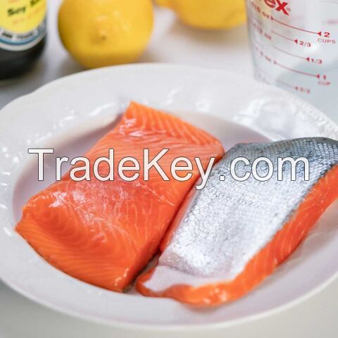 High quality fresh frozen fish salmon