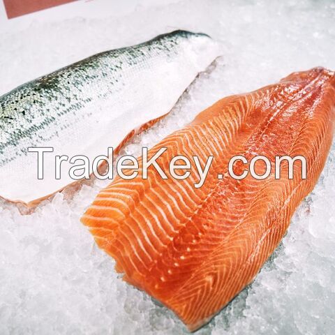 Bulk Stock Available Of Frozen Whole Salmon Fish (Seafood) At Wholesale Prices