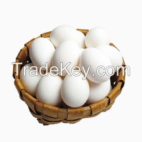 Fresh Brown Table Eggs Chicken Eggs / Fresh Chicken Table Eggs Brown and White Fresh Chicken Eggs/ Fresh Farm Chicken