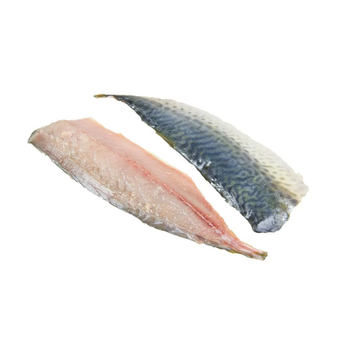 Order Wholesale Frozen Mackerel Fish/ Frozen Fish Mackerel Suppliers. Frozen Mackerel, Frozen Seafood