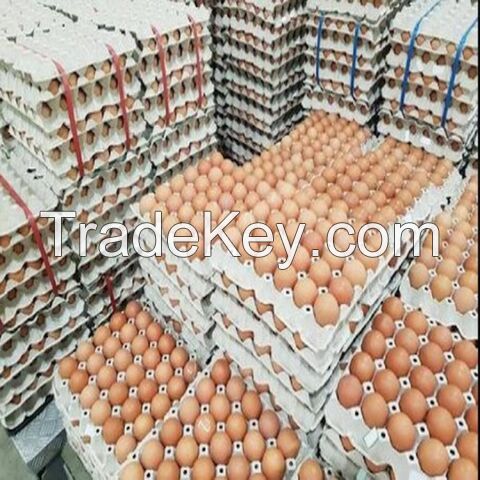 Brown And White Shell Chicken Eggs / Fresh Chicken Table Eggs Best Quality Fresh Chicken Table Eggs Top