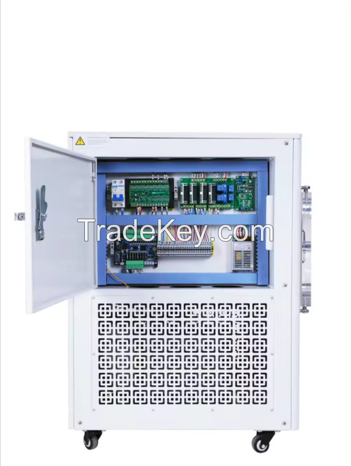 Digital Display Automatic Fruit Vacuum Lyophilizer Equipment/Freeze Dryer