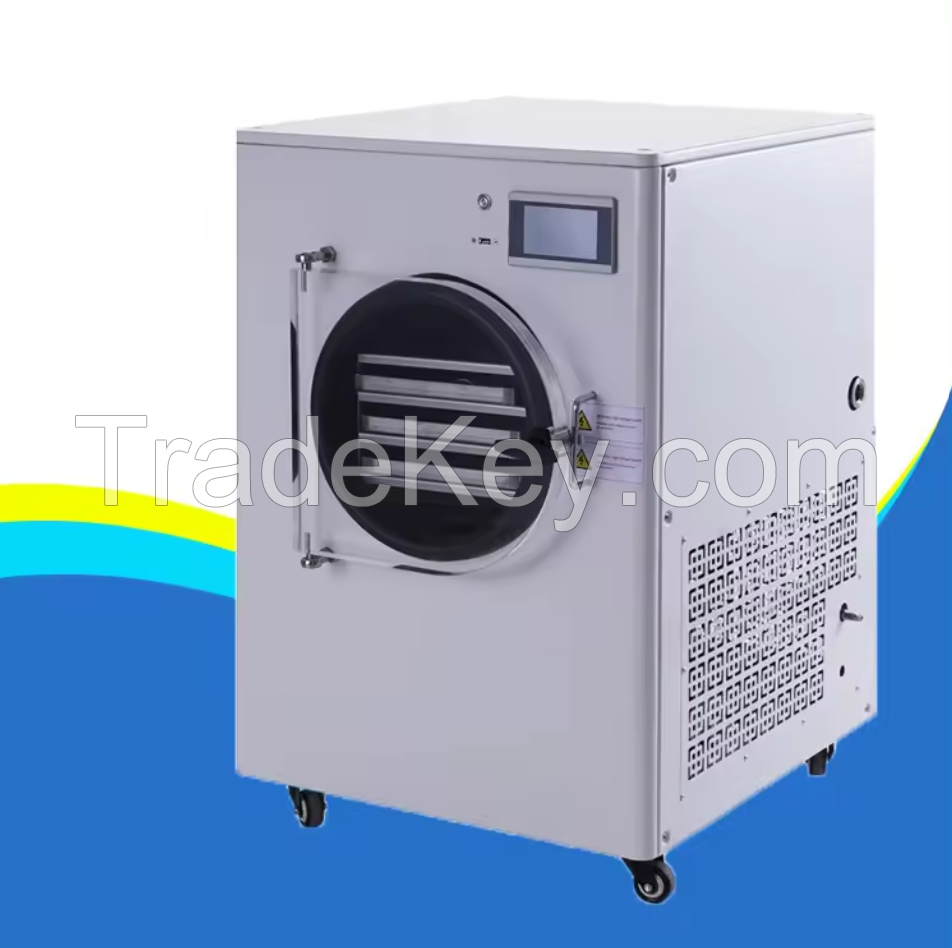 Small Mini Vacuum Commercial Freeze Drying Machine Food Household Home Freeze Dryer