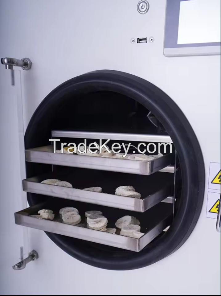 Commercial Vacuum Dryer for Fruit and Vegetable Food Freeze Dryer Lyophilization Machine