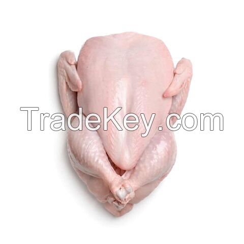 Buy Chicken Meat For Sale / Boneless Whole Chicken For Sale / Chicken Paws Wholesale/ Buy Chicken Feet in Bulk/