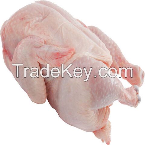 Buy Chicken Meat For Sale / Boneless Whole Chicken For Sale / Chicken Paws Wholesale/ Buy Chicken Feet in Bulk/