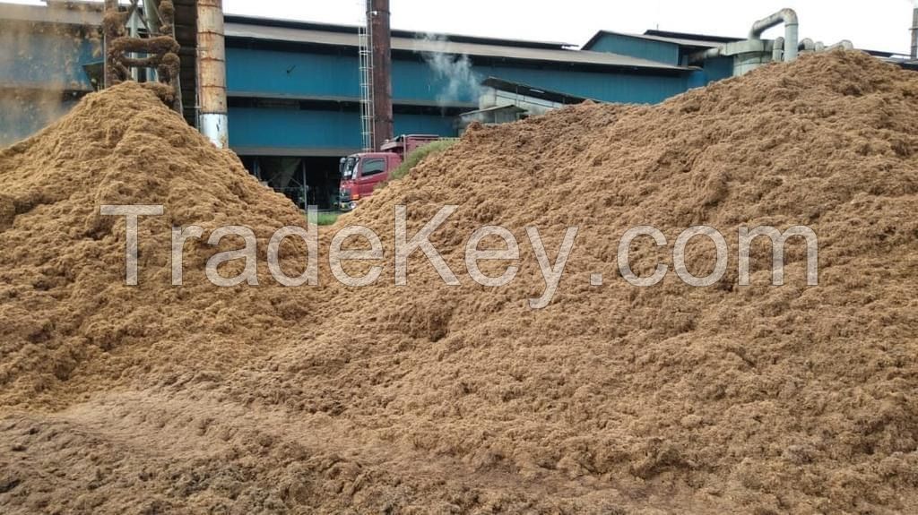 Palm Fiber