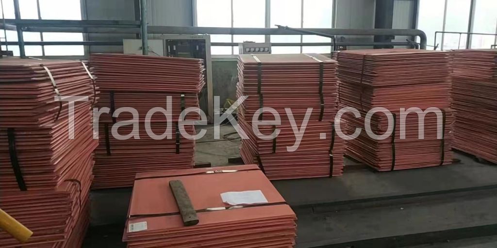 Copper Cathode