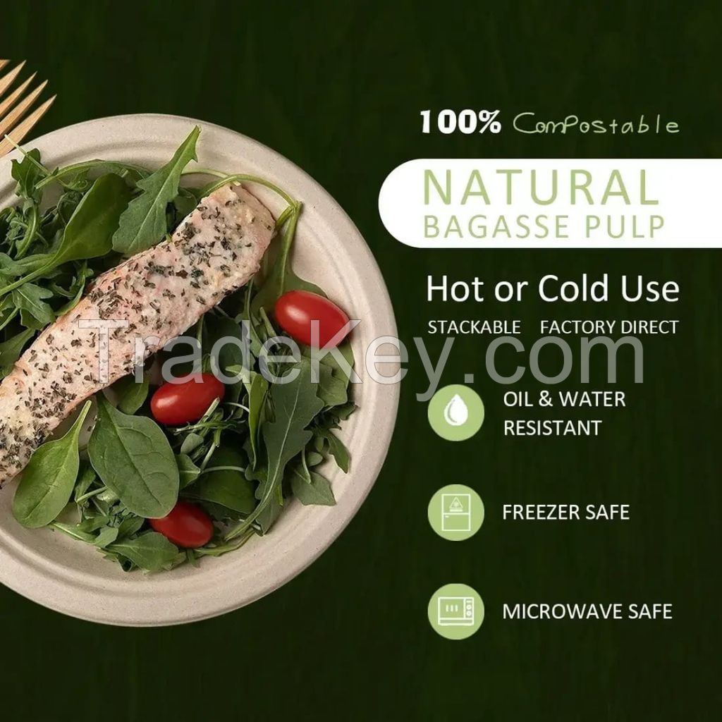 Sugarcane Bagasse Plates