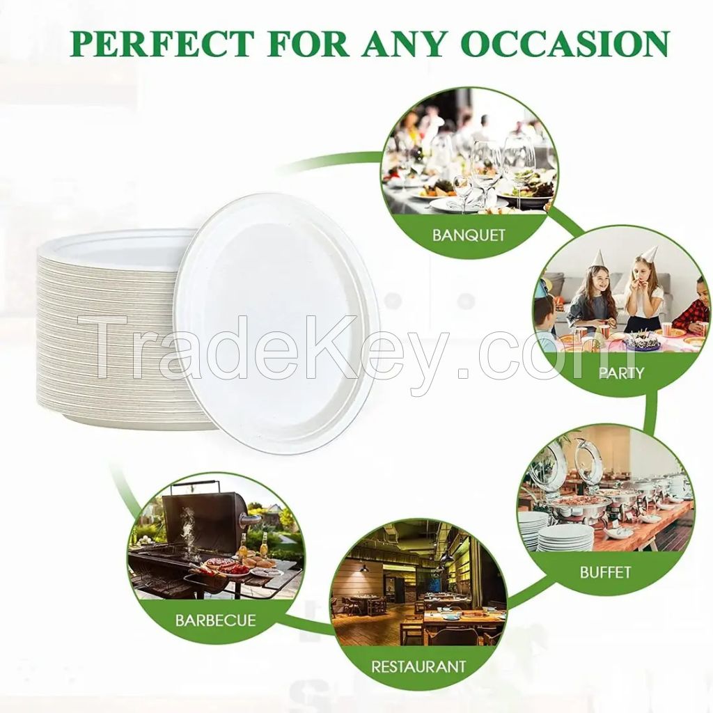 Sugarcane Bagasse Plates