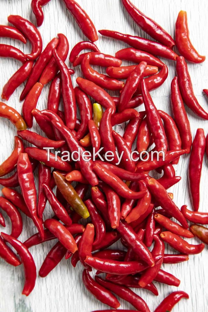 Red Chili Pepper