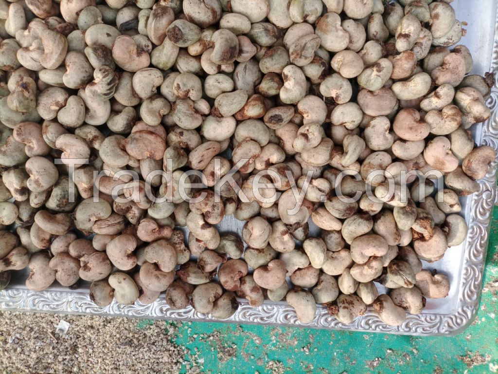 Raw Cashew Nuts