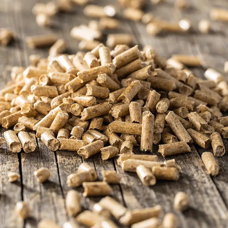 Wood Pellet