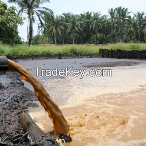 Palm Oil Mill Effluent