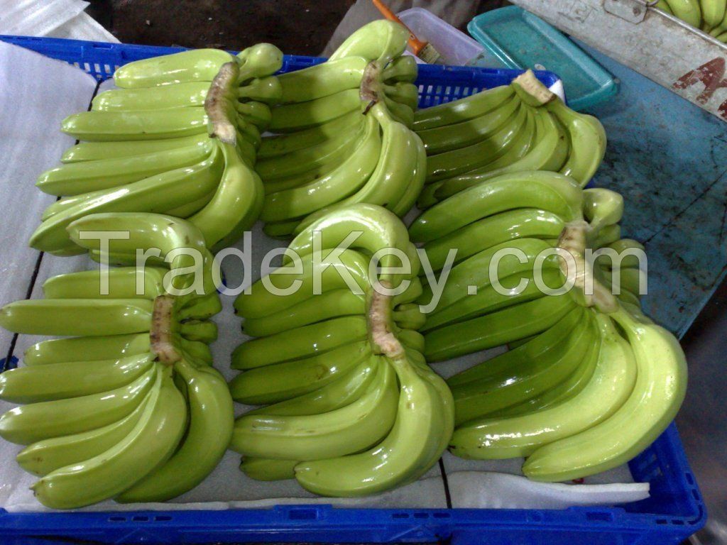 Cavendish Banana Available...