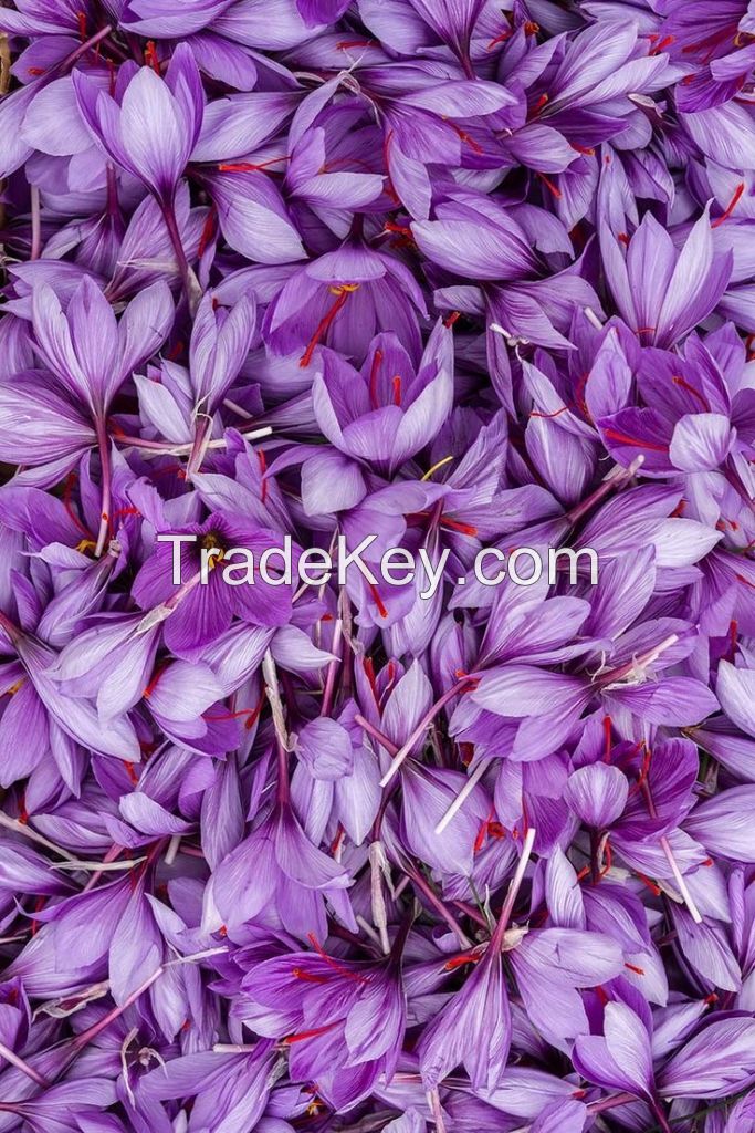 Pure Negin Saffron Wholesale