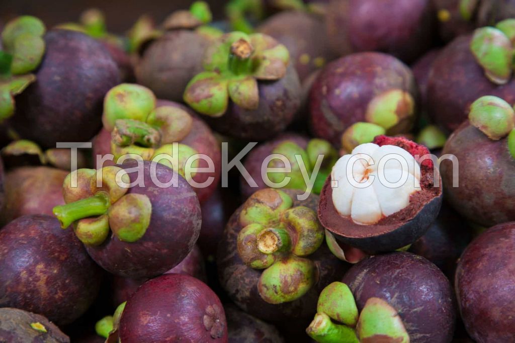 Fresh Mangosteen