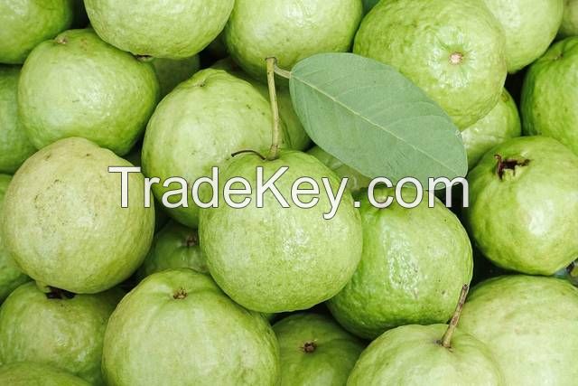 Fresh Guava