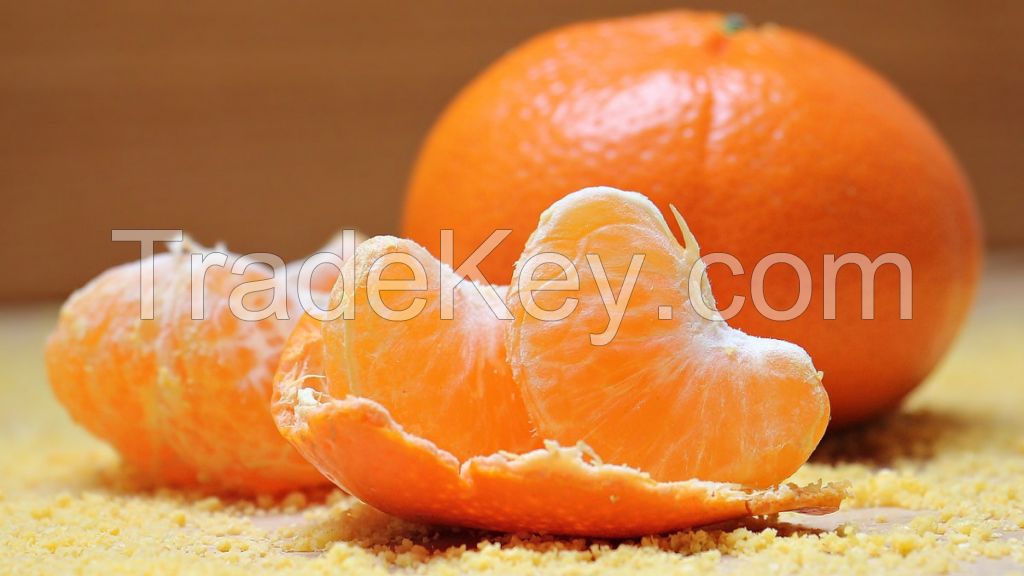 Fresh Orange