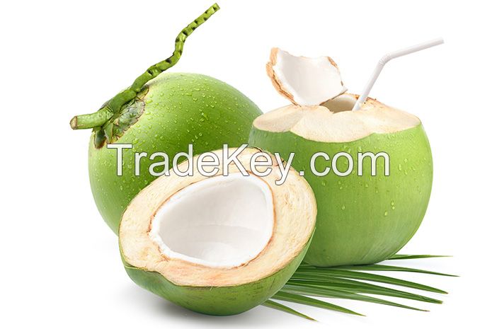 FRESH COCONUT