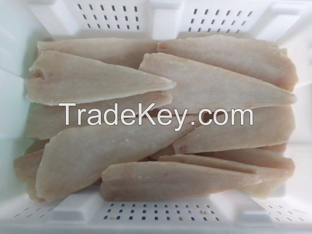 Frozen Alaska Pollock FILLET