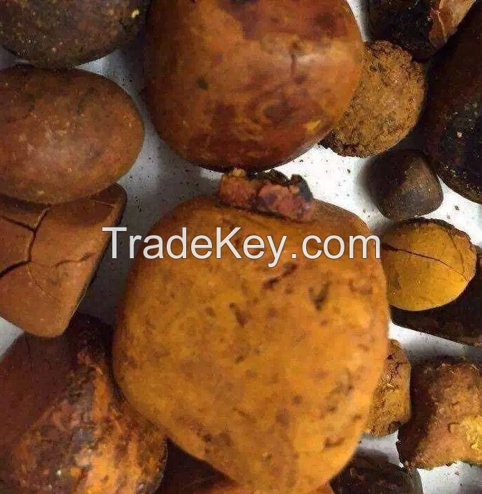 Cheap DRY OX GALLSTONES, Ox gallstones , ox bile extract powder