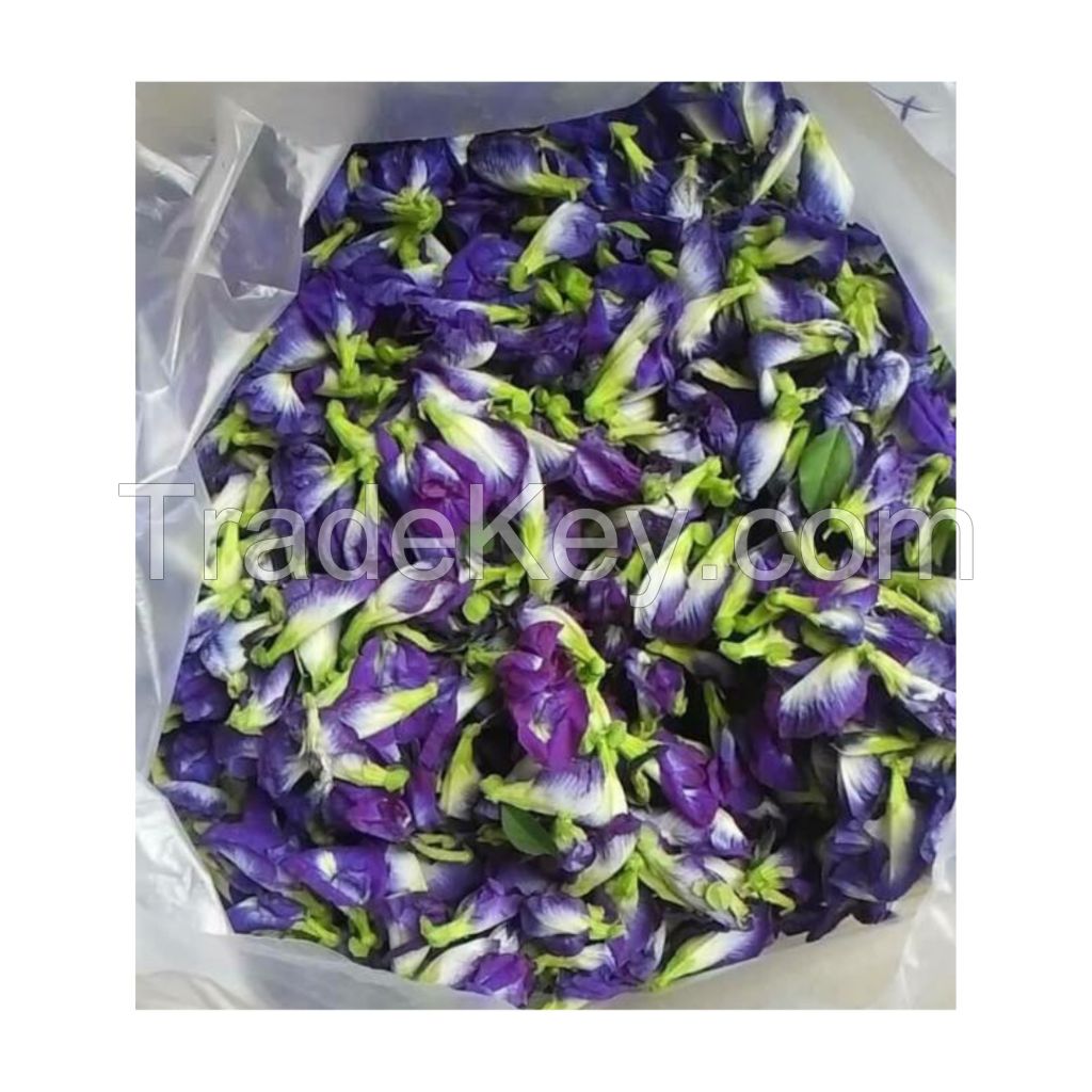 Vietnam Dried Butterfly Pea Flower Tea