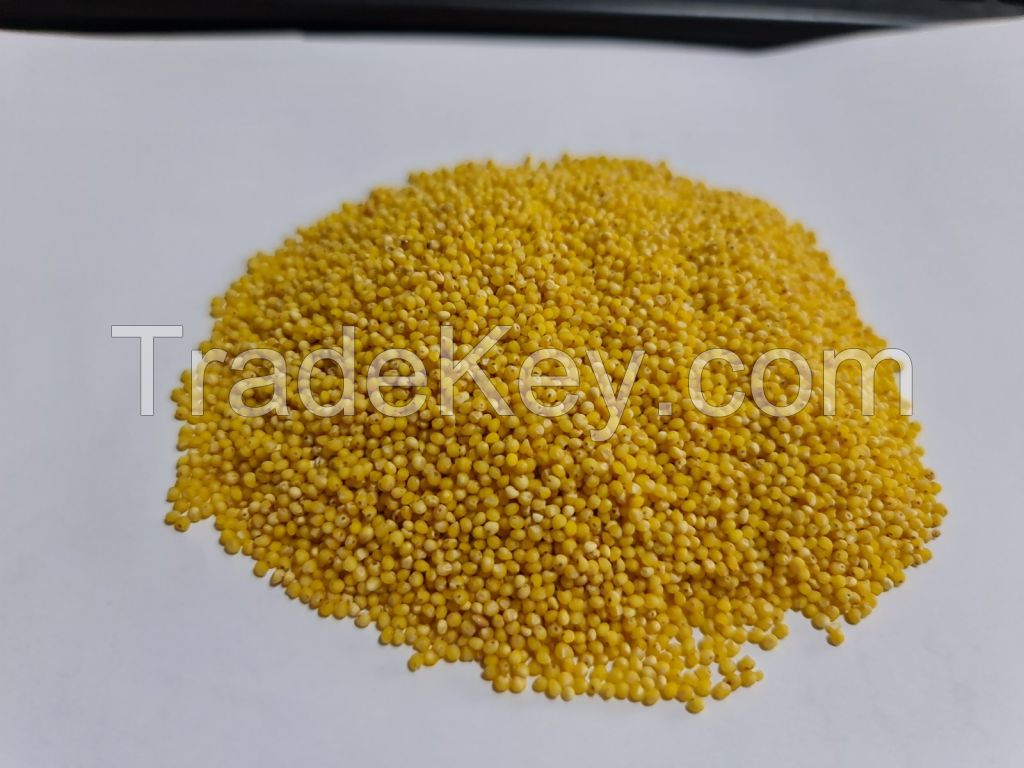 hulled millet