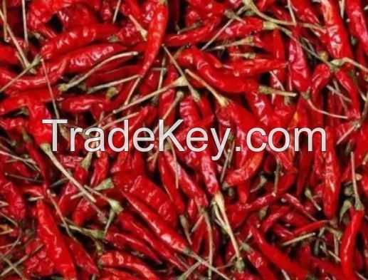 Dry Red Chilly