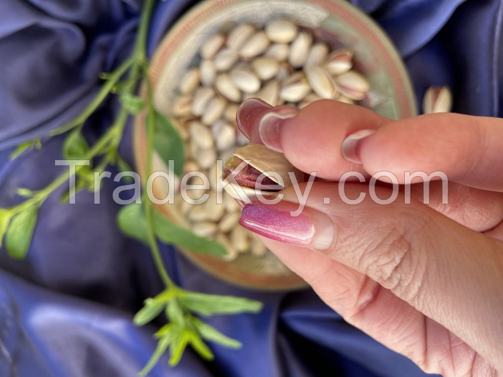 Ahmadaghai (Iranian Pistachio)