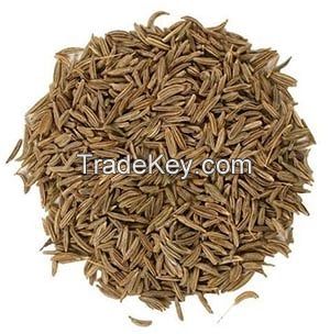 Caraway Seeds