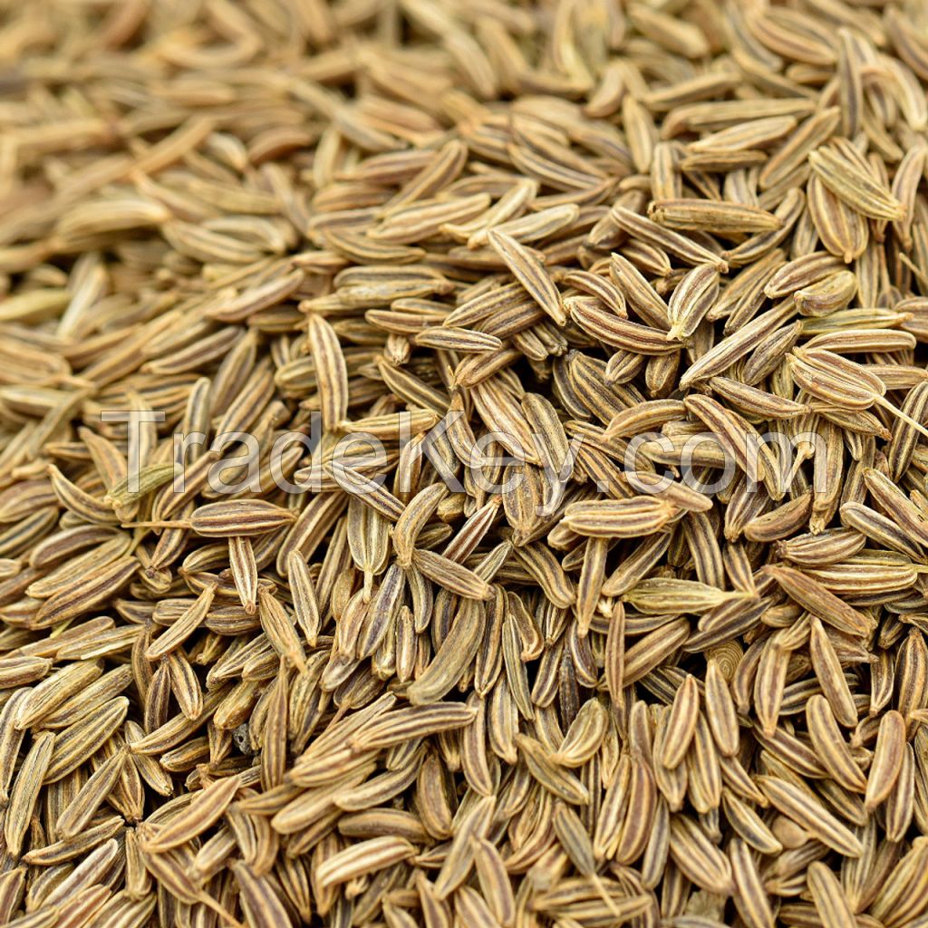 Caraway Seeds