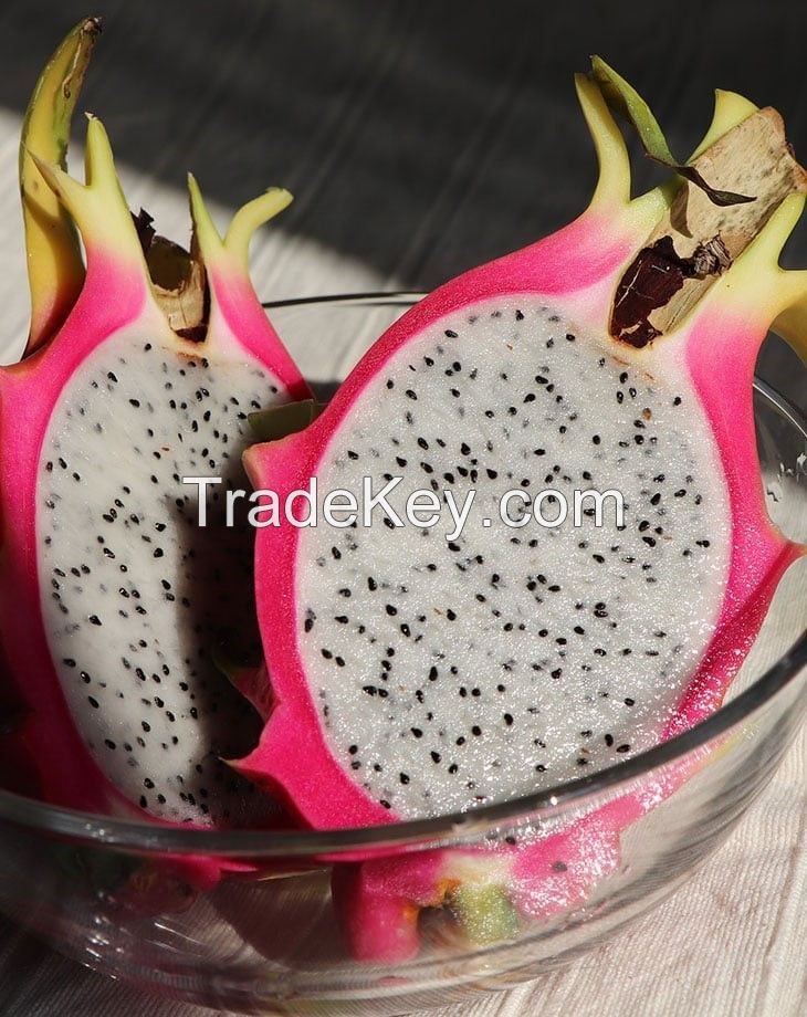 FRESH WHITE FLESH DRAGON FRUIT