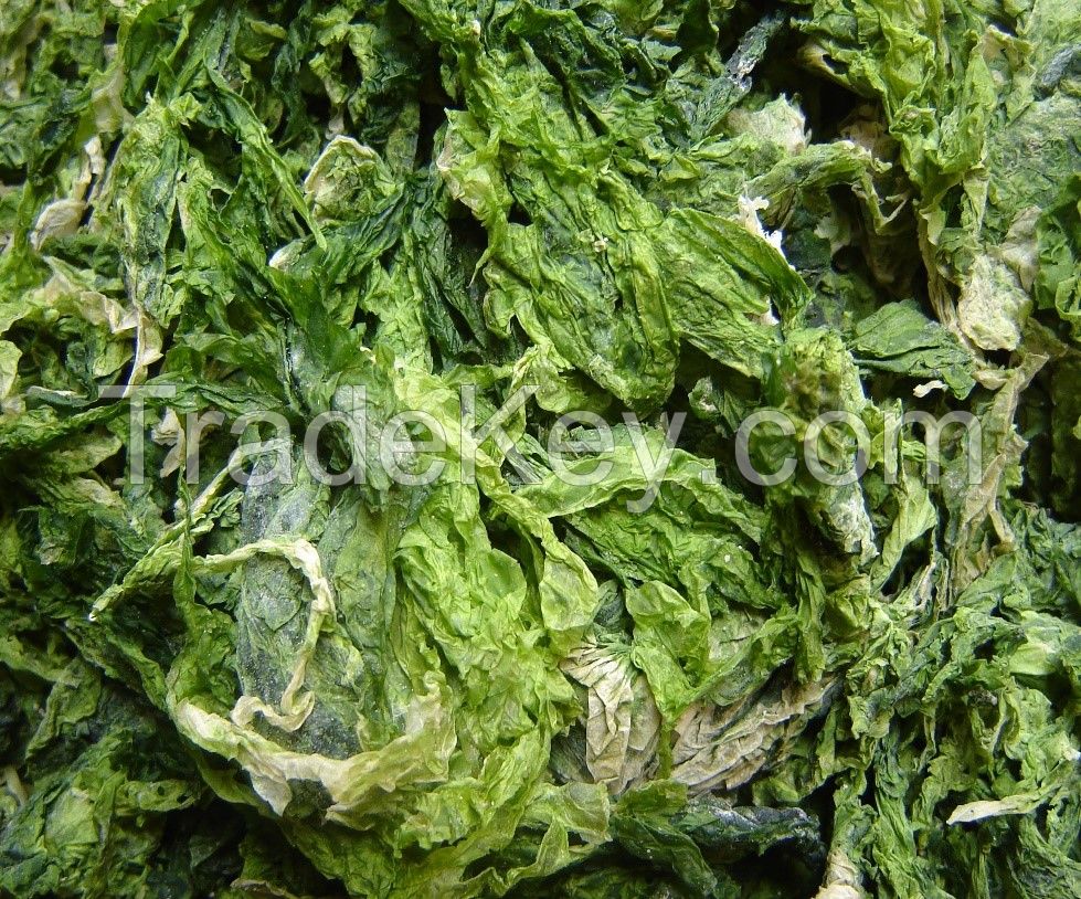 DRIED ULVA LACTUCA