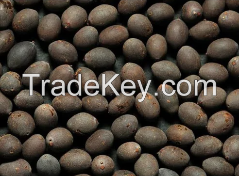 Dried lotus seed