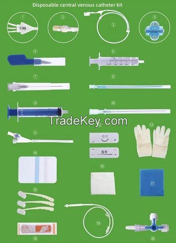 Venous indwelling needle