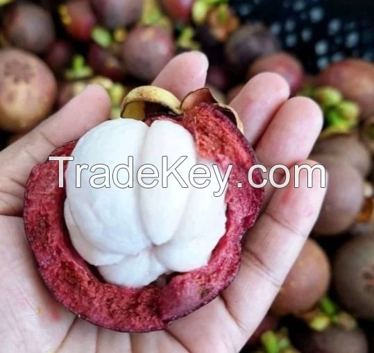 mangosteen