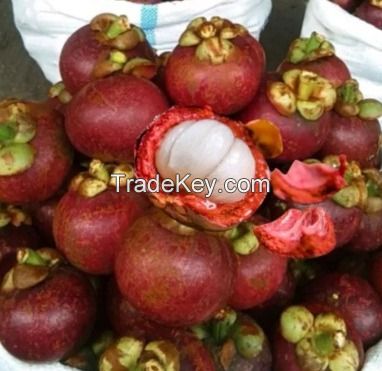 mangosteen