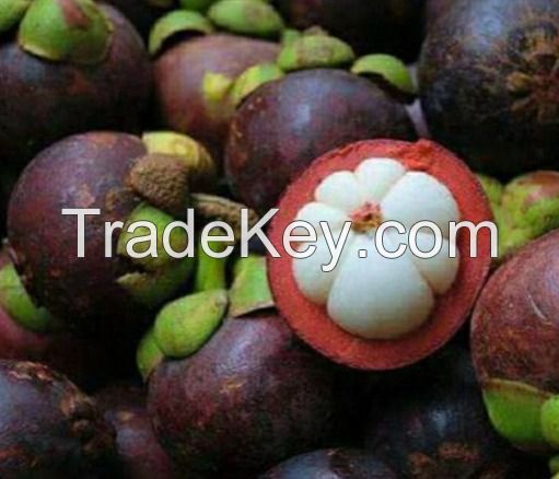 mangosteen