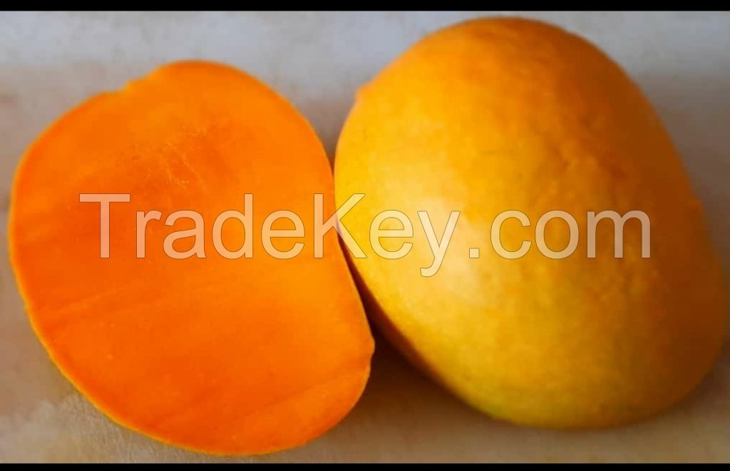 Indian Alphonso Mango