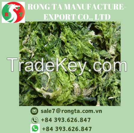 HIGHT QUALITY DRIED ULVA LACTURE FROM VIETNAM