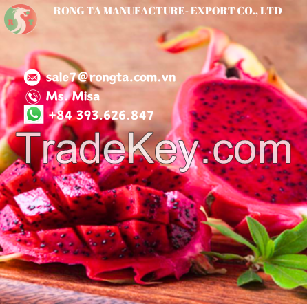 HIGHT QUALITY FRESH RED FLESH DRAGON FRUIT FROM VIETNAM