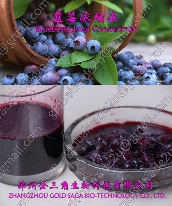 Blueberry Juice Concentrate