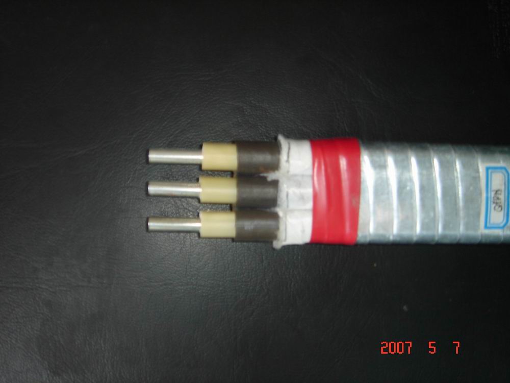 ESP  cable