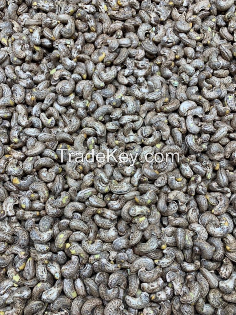 Cashew Kernel WW180 , WW210 , WW240 , WW320, WW450