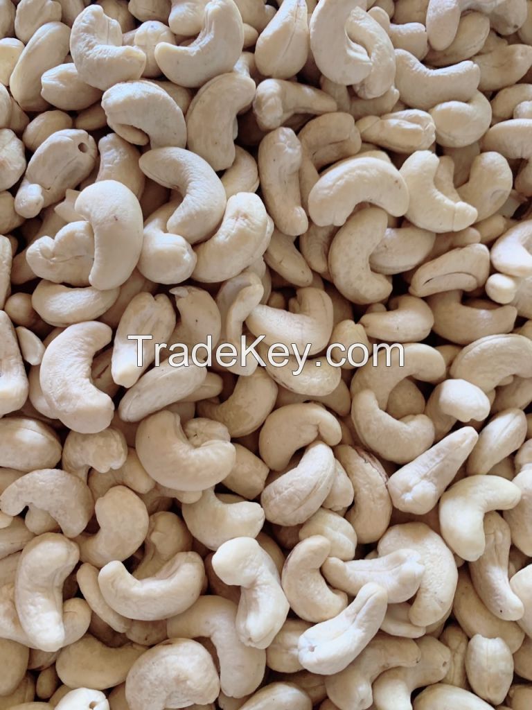 Cashew Kernel WW180 , WW210 , WW240 , WW320, WW450