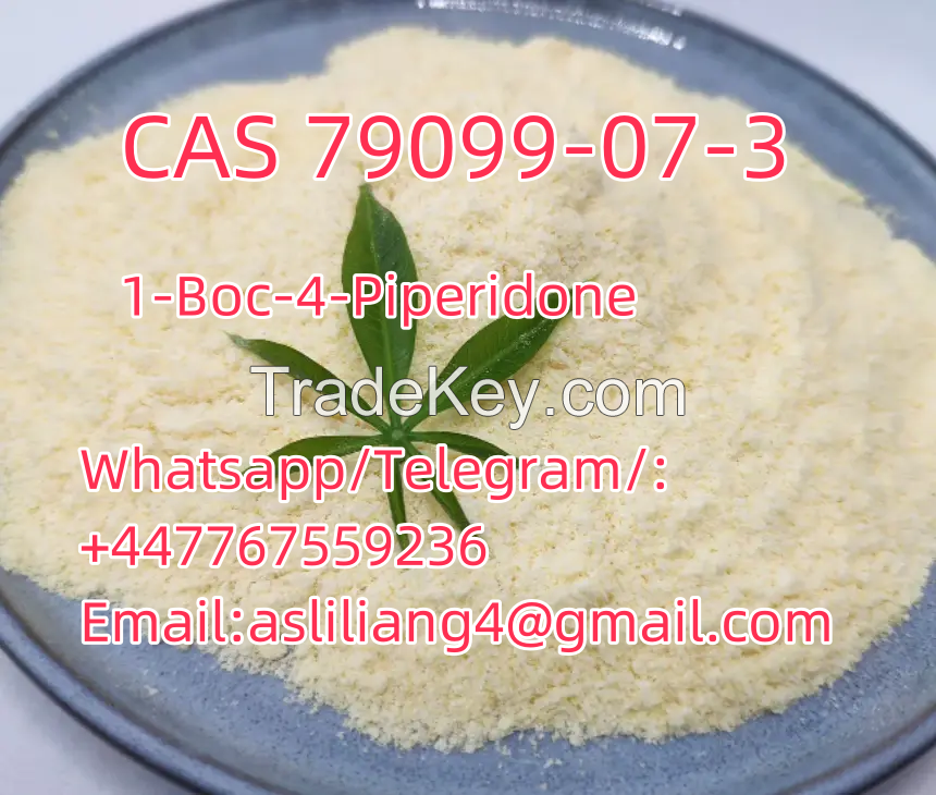 High Purity CAS 79099-07-3 C10H17NO3 Provide Sample