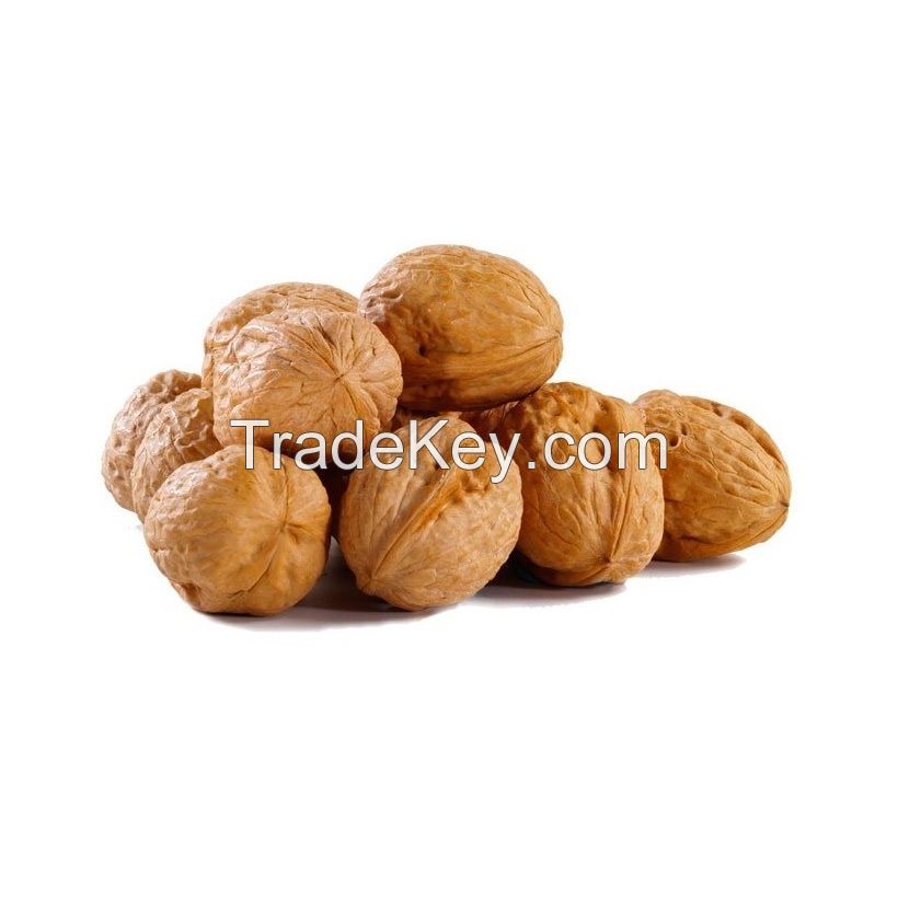 Peeled Kernel Walnuts High Quality Walnut Kernel Brazil Supplier Low Price Light Halves Walnut Kernels