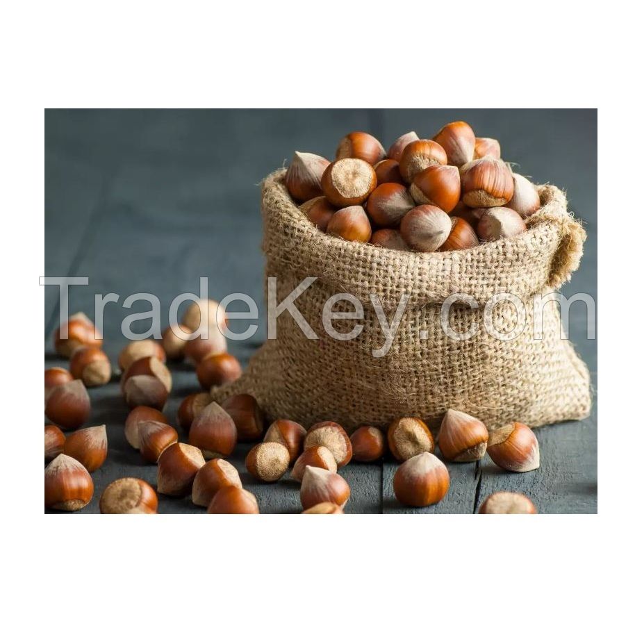 Hot selling Raw Hazelnut / Organic Grade Hazelnut/Hazel Nuts for sale